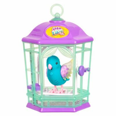 Little Live Pets Bird With Cage, Skye Twinkles