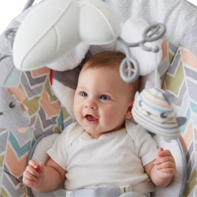 Fisher-Price Plush Puppy Bouncer