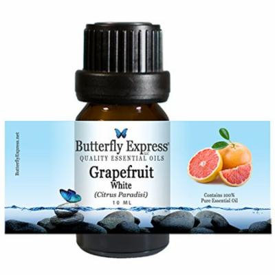 Grapefruit White Essential Oil 10ml - 100% Pure - by Butterfly Express