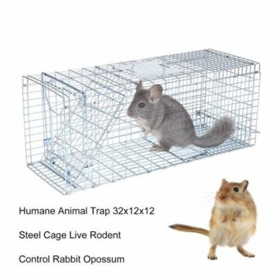 Live Animal Traps For Cats Small Animal Trap