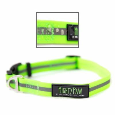 Mighty Paw Waterproof Dog Collar, Biothane Alternative, Smell-proof Active Dog Gear, Coated Nylon Webbing with Reflective Stripe (Green, Large)