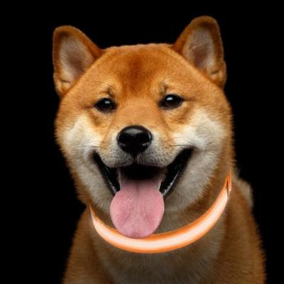 LED Medium Dog Collar-Light Up for Night Visibility and Safety- Adjustable, Rechargeable, 3 Flash Modes-For Evening Walks or Runs by Petmaker (Orange)
