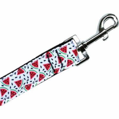 Watermelon Nylon Pet Leash 5/8in by 4ft