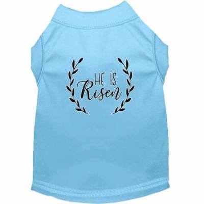 He Is Risen Screen Print Dog Shirt Baby Blue Sm (10)