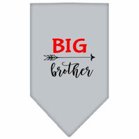 Big Brother Screen Print Bandana Grey Small