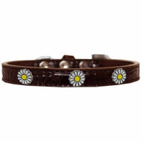 White Daisy Widget Croc Dog Collar Chocolate Size 10