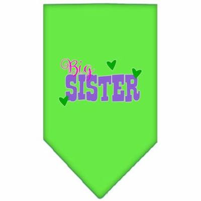 Big Sister Screen Print Bandana Lime Green Small
