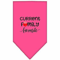 Family Favorite Screen Print Bandana Bright Pink Small