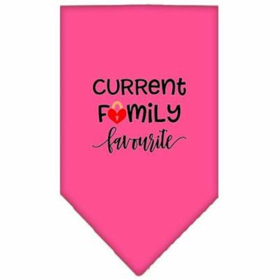 Family Favorite Screen Print Bandana Bright Pink Small