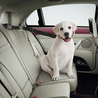 Excelvan Adjustable Universal Pet Car Seat Belt Dog Pulling Rope