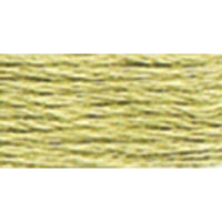 Anchor Six Strand Embroidery Floss 8.75 Yards-Fern Green Light 12 per box
