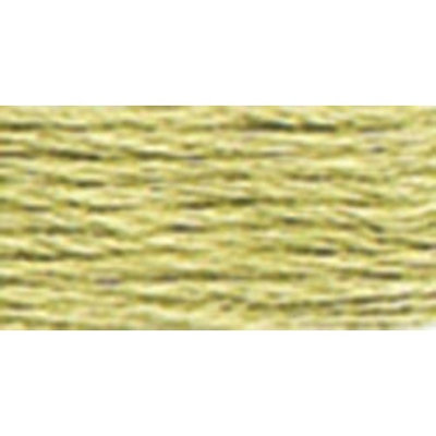 Anchor Six Strand Embroidery Floss 8.75 Yards-Fern Green Light 12 per box