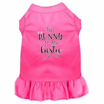 Bunny is my Bestie Screen Print Dog Dress Bright Pink XXL (18)