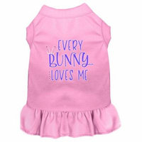Every Bunny Loves me Screen Print Dog Dress Light Pink XXL (18)
