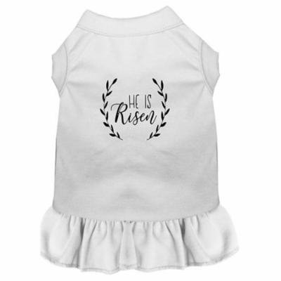 He Is Risen Screen Print Dog Dress White XXXL (20)