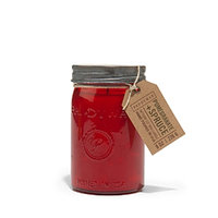 Paddywax Relish Collection 9.5 oz. Jar Candle, Pomegranate And Spru.