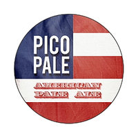 Pico Brew PicoPale PicoPak
