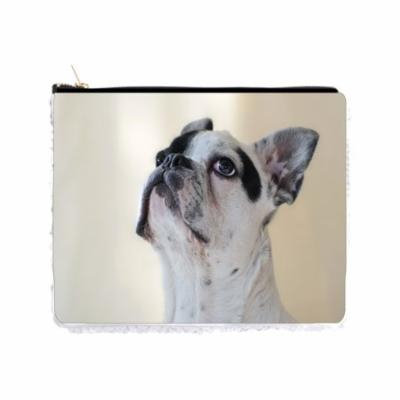 White French Bulldog Puppy - 6.5