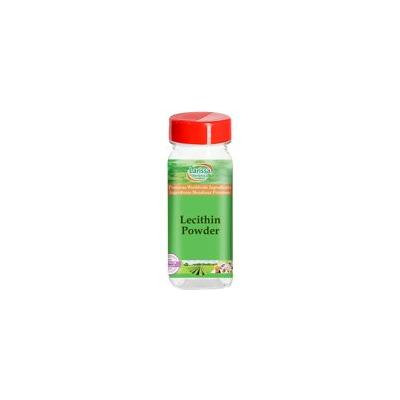 Lecithin Powder (4 oz, ZIN: 526528) - 2-Pack