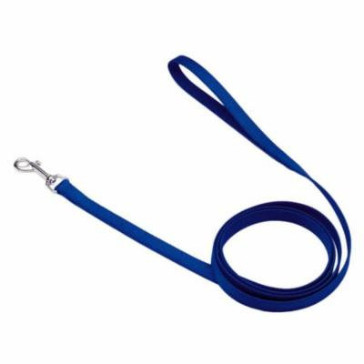 Coastal Pet Nylon Lead - Blue 4' Long x 5/8