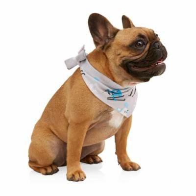 Toast & Jammies Holiday Family Sleep Pet Ski Dogs Bandana