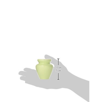 Aiya Matcha Whisk Holder for Tea Ceremony