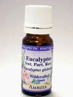 Eucalyptus Sweet Part. Rect. 10 ml by Amrita Aromatherapy