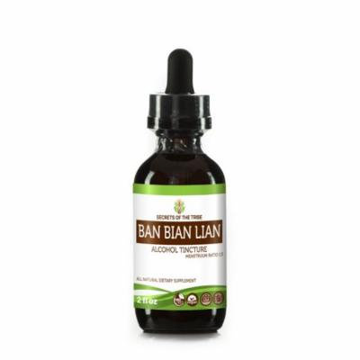 Ban Bian Lian Tincture Alcohol Extract, Organic Lobelia (Lobelia Inflata) Dried Herb 2 oz