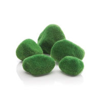 biOrb Moss