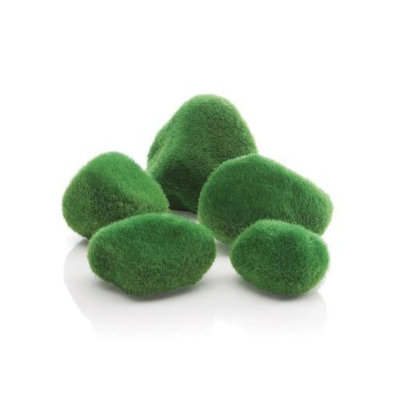biOrb Moss
