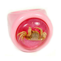 ED SPELDY EAST OR022-7 Ring Crab Pink with Pink Background Size 7