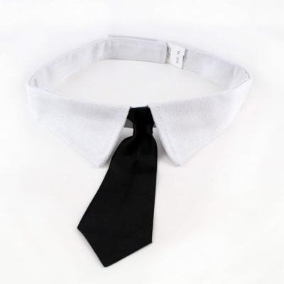 Midlee Formal Black Dog Tie 19-23