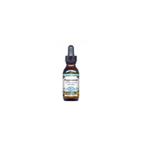 Peppermint - Glycerite Liquid Extract (1:5) - Strawberry Flavored (1 fl oz, ZIN: 428316) - 3-Pack