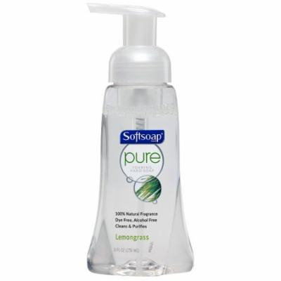 Softsoap Pure Foaming Hand Soap (Pack of 4)