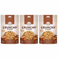 (3 Pack) NUTRO Crunchy Halloween Dog Treats with Real Peanut Butter, 10 oz. Bag