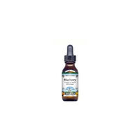 Blueberry Root Glycerite Liquid Extract (1:5) - Mint Flavored (1 oz, ZIN: 513207) - 3-Pack