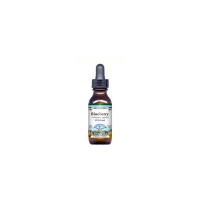 Blueberry Root Glycerite Liquid Extract (1:5) - Mint Flavored (1 oz, ZIN: 513207) - 3-Pack