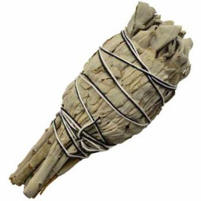 California White Sage smudge 4