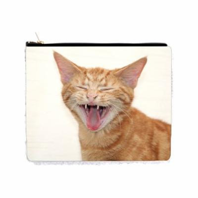 Laughing Kitten - 2 Sided 6.5