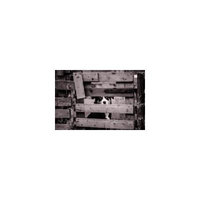Framed Art For Your Wall Pet Fence Wooden Dog Gate Canine Cute Wood 10x13 Frame