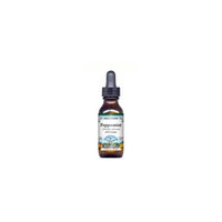 Peppermint - Glycerite Liquid Extract (1:5) - Vanilla Flavored (1 fl oz, ZIN: 428318) - 2-Pack