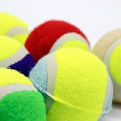 Small Size Dog Tennis Ball Giant Pet Toys for Dog Chewing Toy For Training