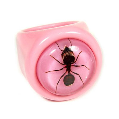 ED SPELDY EAST R0024-7 Ring Ant Pink Ring with Pink Background Size 7