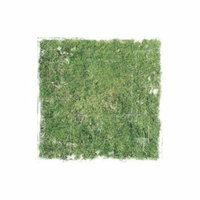 Paper House Paper 12x12 Distressed Grass (pack of 25)