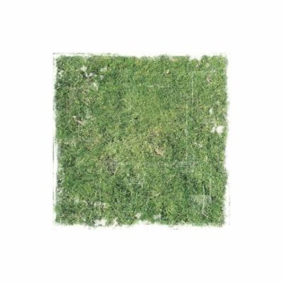 Paper House Paper 12x12 Distressed Grass (pack of 25)