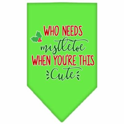 Who Needs Mistletoe Screen Print Bandana Lime Green Small