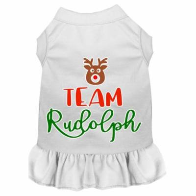 Team Rudolph Screen Print Dog Dress White Xxl