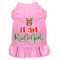 Team Rudolph Screen Print Dog Dress Light Pink Med