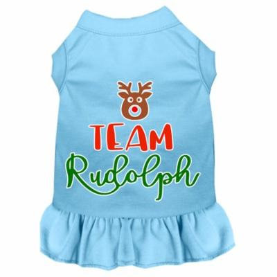 Team Rudolph Screen Print Dog Dress Baby Blue Xxxl