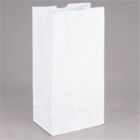 8.25 x 5.31 x 16.13 in. White Paper Bag, 20 lb - Case of 500
